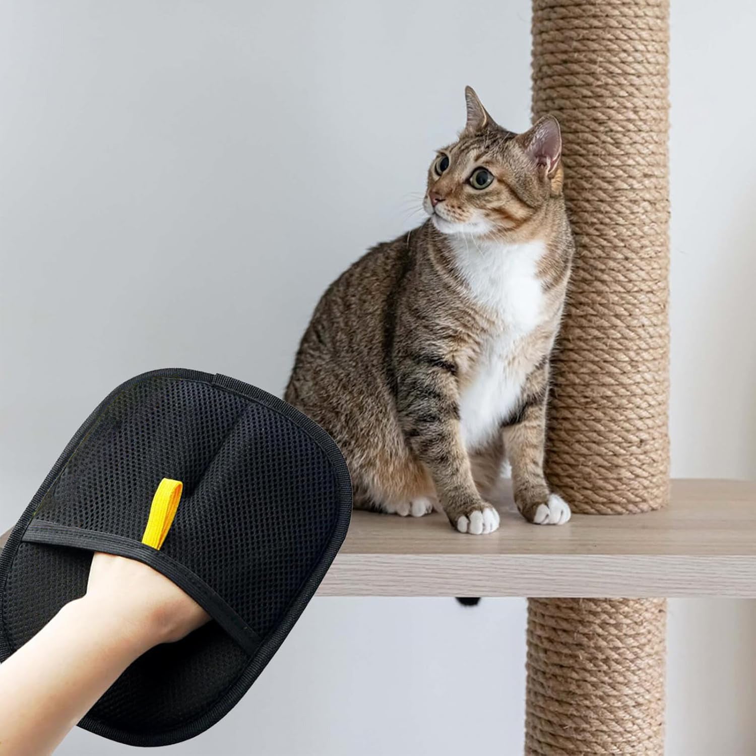 KFX-7903677 Pet Hair Removal Electrostatic Gloves with Two-Way Bristles for Cats and Dogs