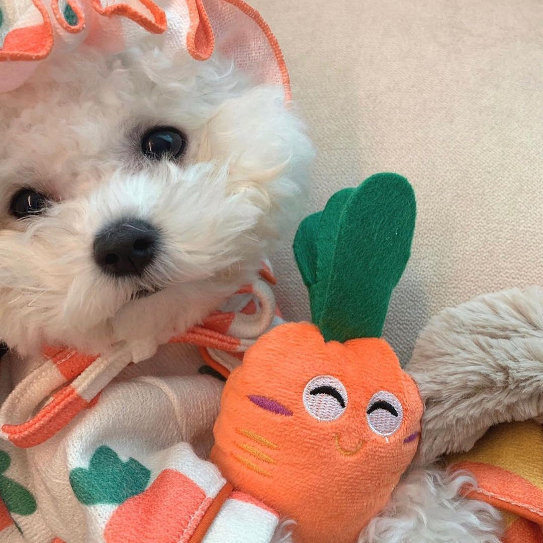 KFX-7908669 Plush Carrot Sound Toy for Dogs - Cute and Soft 8x5cm Orange Design