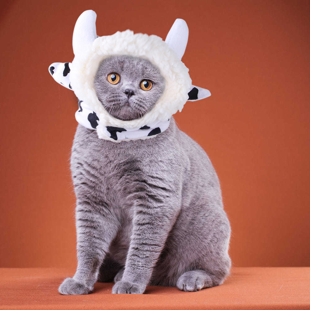 KFX-7915837 Cartoon-Style Plush Pet Hat for Cats and Dogs - Average Size Curly Hair Design