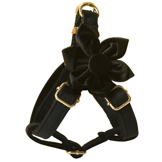 KFX-7918653 Black Flannel Dog Harness with Gold Buckle - Adjustable Chest Strap for Small to XL Pets