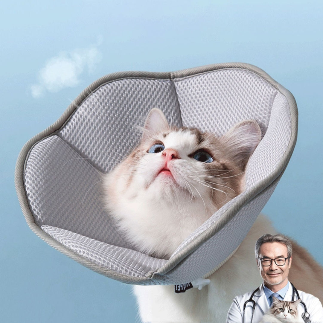 KFX-7926717 Cat Sterilization Anti-Scratch Collar in Multiple Sizes for Comfort and Safety