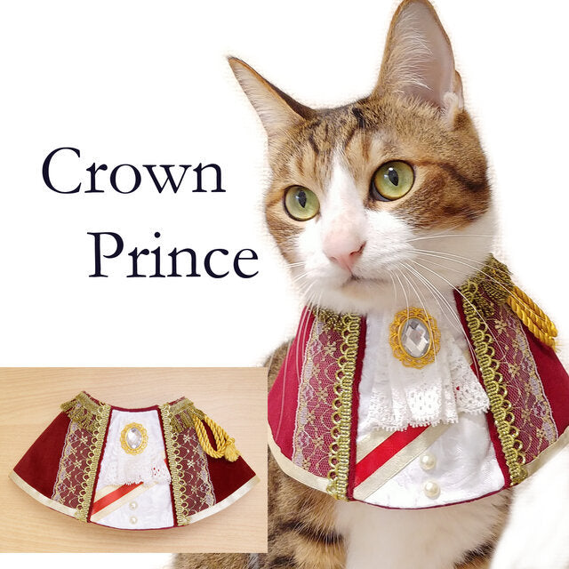 KFX-7929277 Handsome and Funny Cat Bib in Zombie and Duke Suit Designs - Polyester Material, Sizes S and L