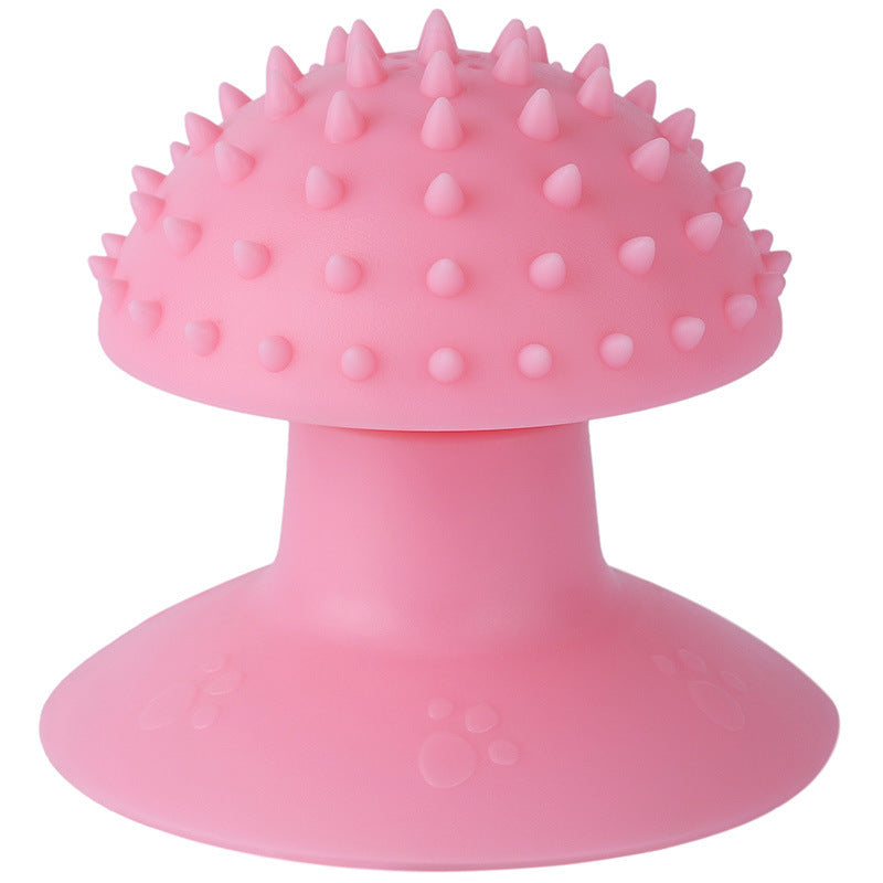 KFX-7932349 Self-Grooming Cat Brush and Massager for Long and Short Fur with Cat Mint Attachment