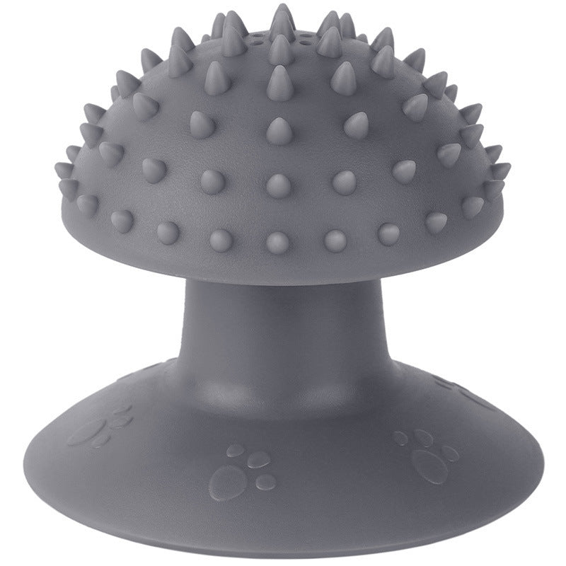 KFX-7932349 Self-Grooming Cat Brush and Massager for Long and Short Fur with Cat Mint Attachment