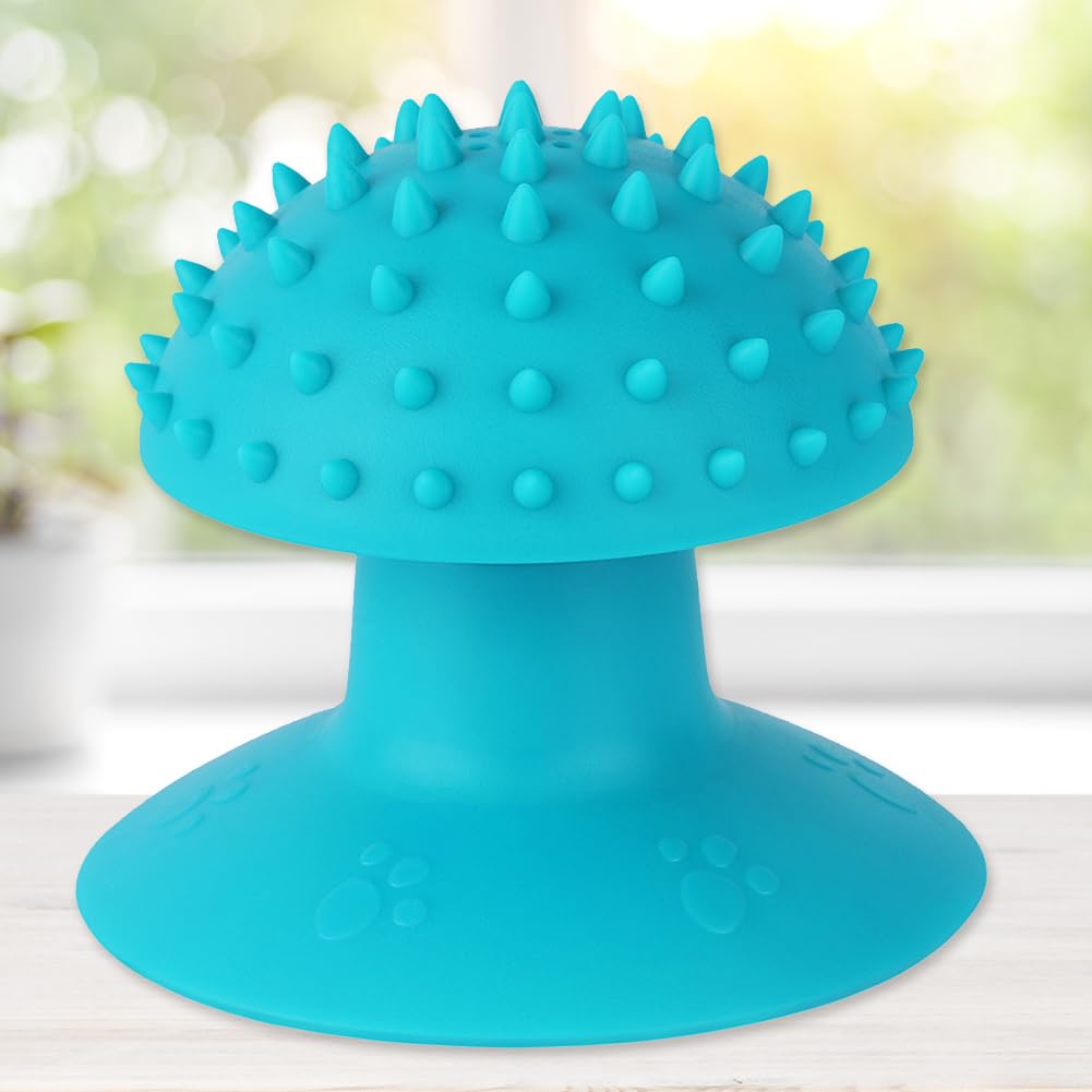 KFX-7932349 Self-Grooming Cat Brush and Massager for Long and Short Fur with Cat Mint Attachment
