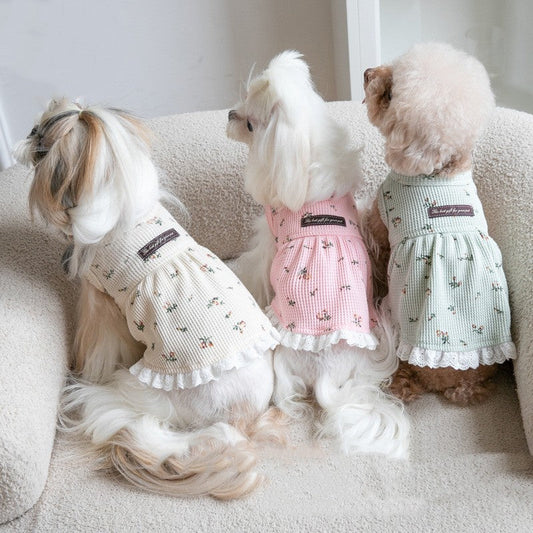 KFX-7946941 Embroidered Bear Vest for Pets - Casual Autumn & Winter Apparel in Multiple Colors and Sizes