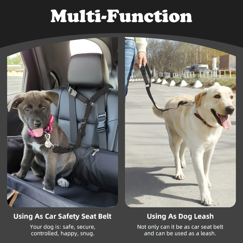 KFX-7951933 Durable Two-Piece Dog Leash Set for Comfortable Travel and Outdoor Adventures