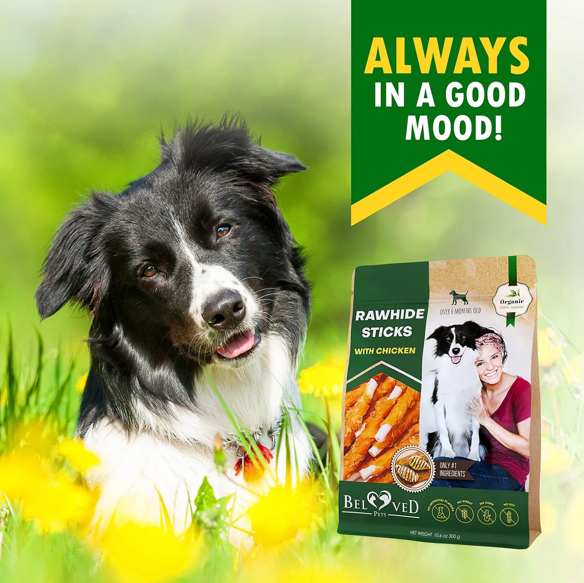 KFX-7957949 Chicken-Wrapped Dog Chew Sticks – Grain-Free, Organic, Human-Grade Natural Treats for Dogs of All Life Stages