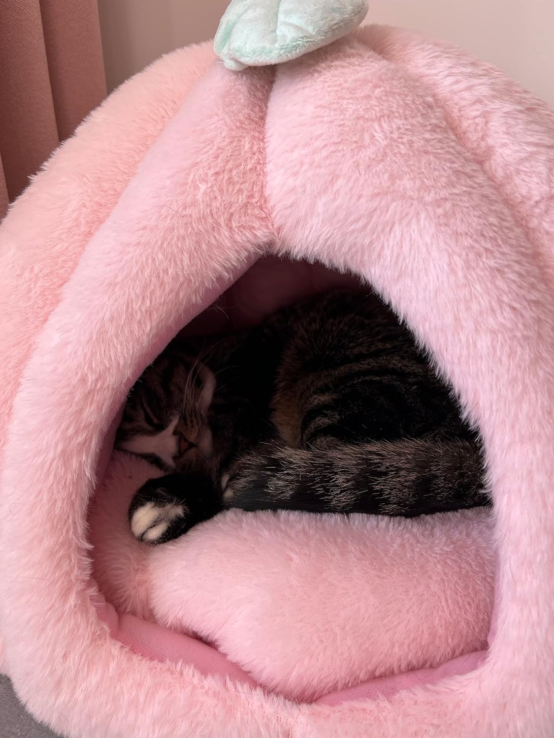 KFX-7959357 Cozy Pink Cat House - Soft Tent Cave with Removable Cushion Pad for Indoor Cats
