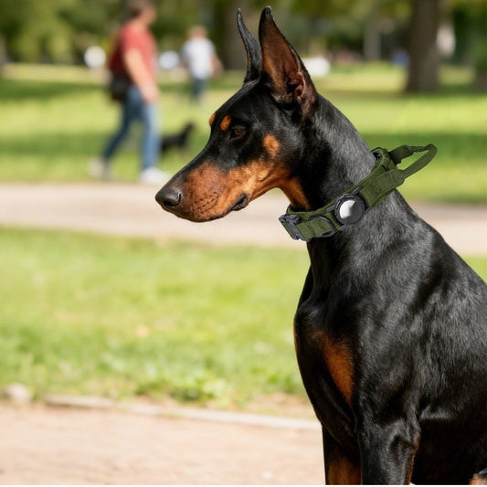 KFX-7965629 Tactical Dog Collar in Outdoor Nylon - Multiple Colors and Sizes Available