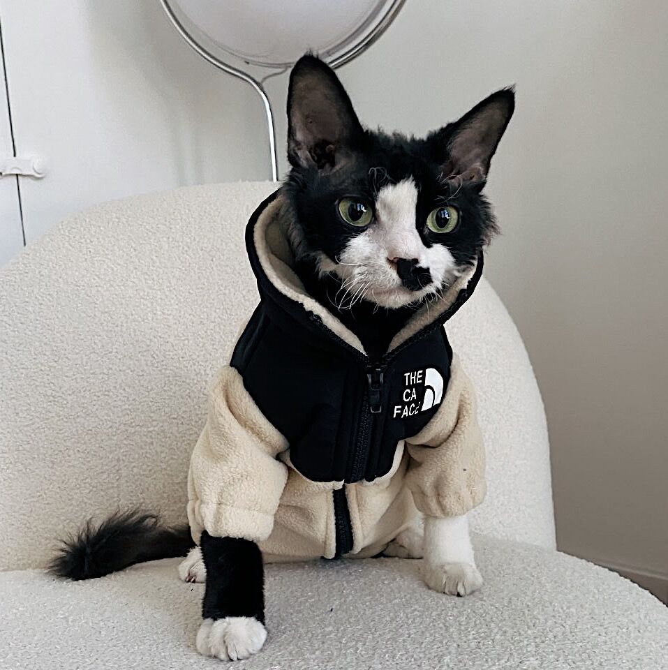KFX-7967805 Cozy Coral Fleece Cat Clothes in Army Green, Sapphire Blue, and Beige - Multiple Sizes Available