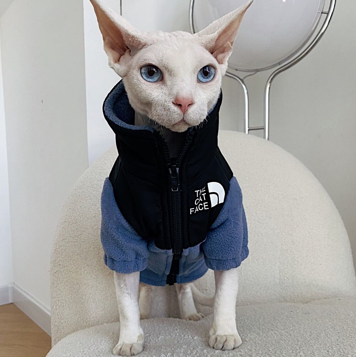 KFX-7967805 Cozy Coral Fleece Cat Clothes in Army Green, Sapphire Blue, and Beige - Multiple Sizes Available