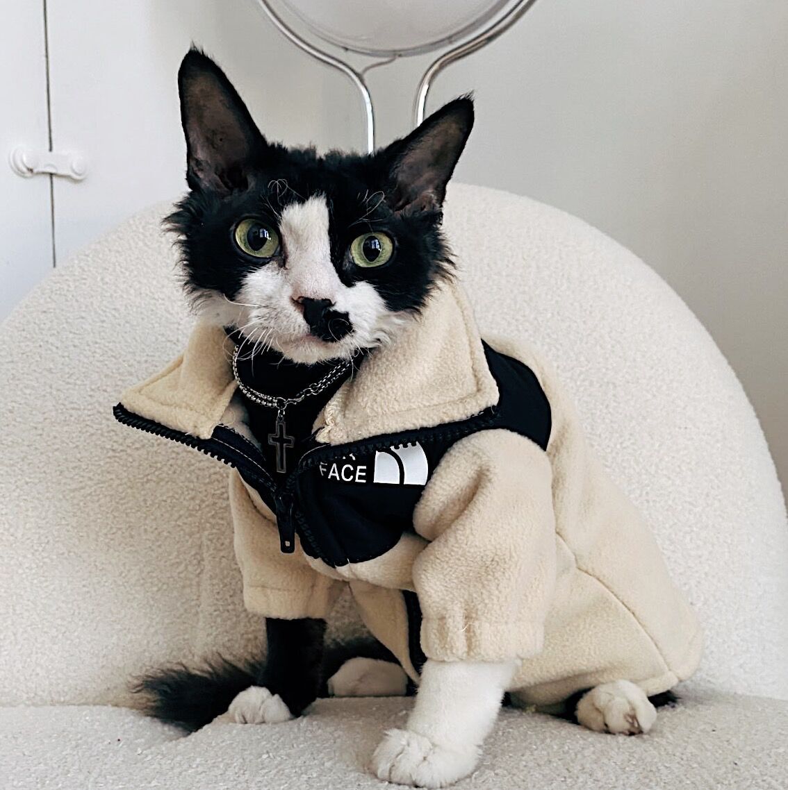 KFX-7967805 Cozy Coral Fleece Cat Clothes in Army Green, Sapphire Blue, and Beige - Multiple Sizes Available