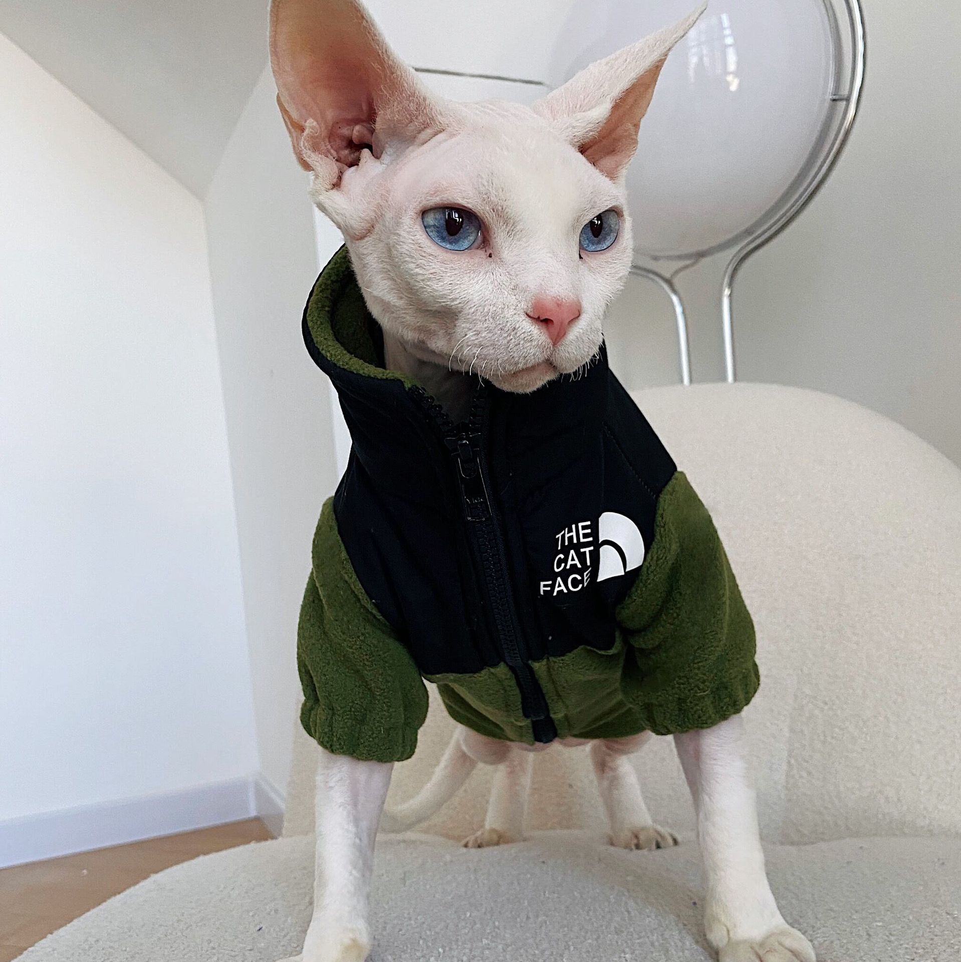 KFX-7967805 Cozy Coral Fleece Cat Clothes in Army Green, Sapphire Blue, and Beige - Multiple Sizes Available