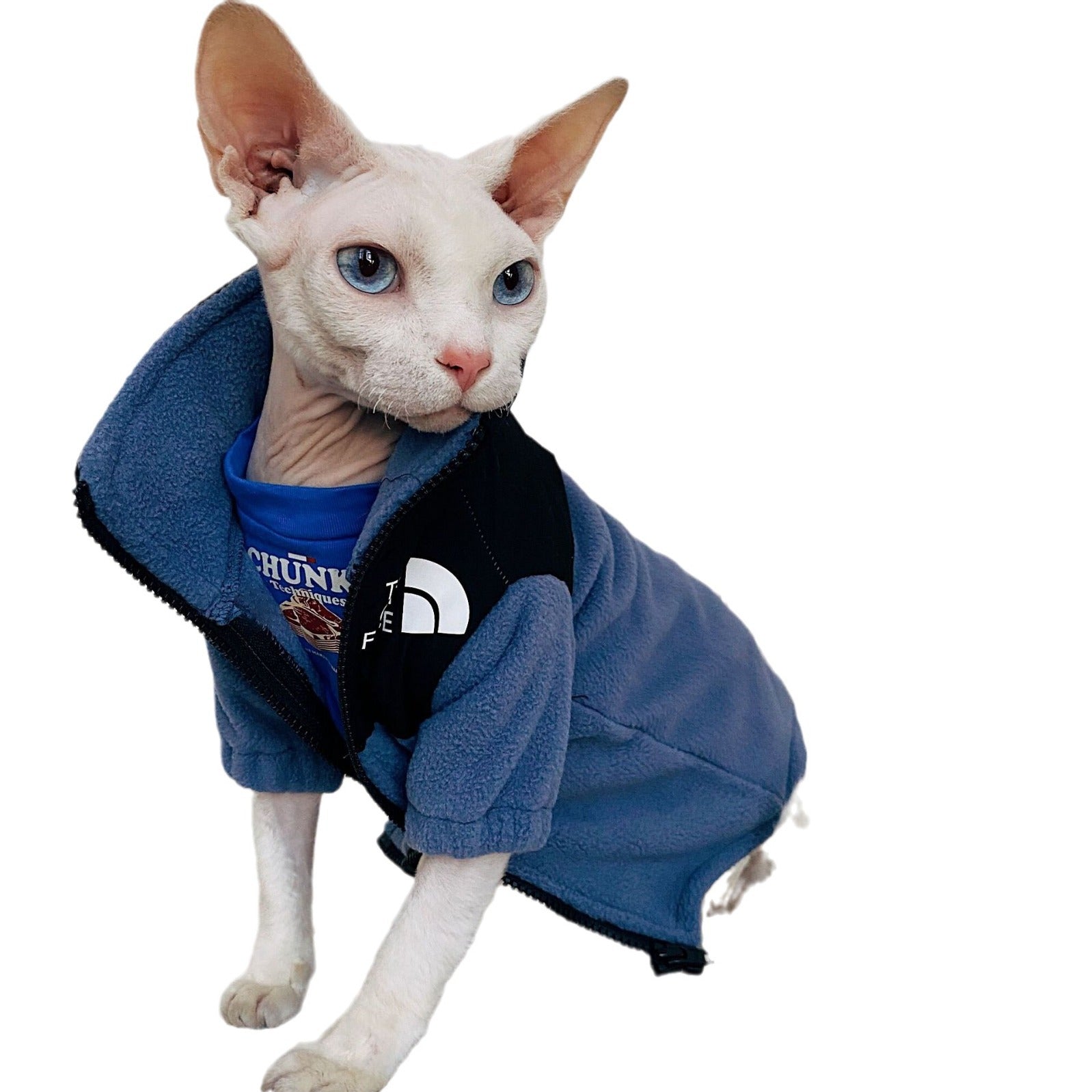 KFX-7967805 Cozy Coral Fleece Cat Clothes in Army Green, Sapphire Blue, and Beige - Multiple Sizes Available