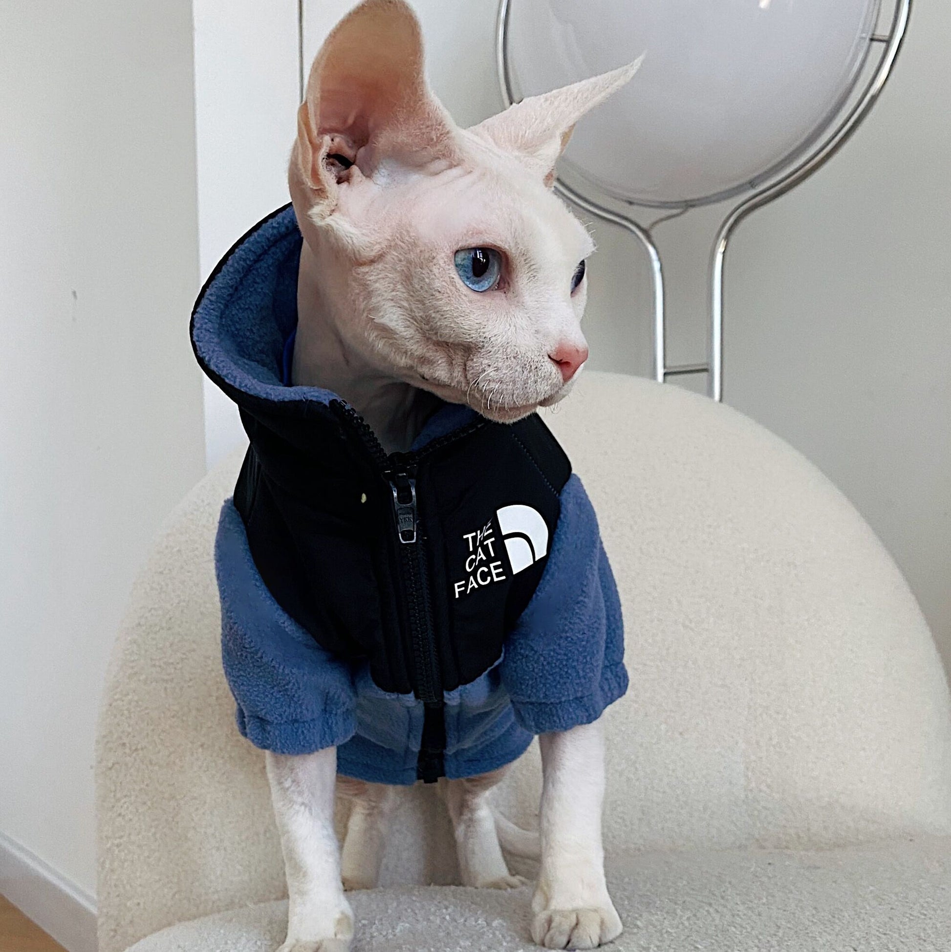 KFX-7967805 Cozy Coral Fleece Cat Clothes in Army Green, Sapphire Blue, and Beige - Multiple Sizes Available