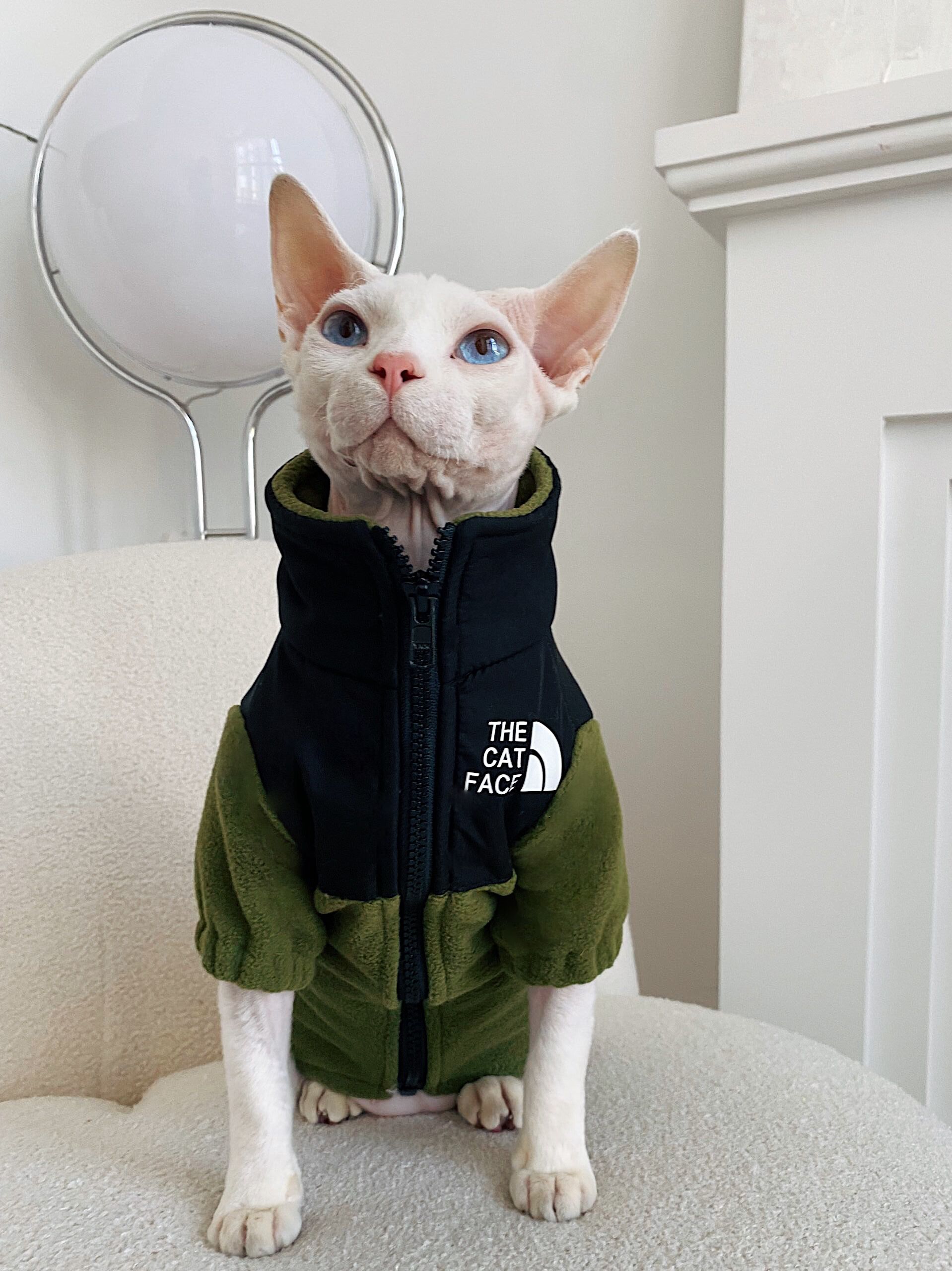 KFX-7967805 Cozy Coral Fleece Cat Clothes in Army Green, Sapphire Blue, and Beige - Multiple Sizes Available