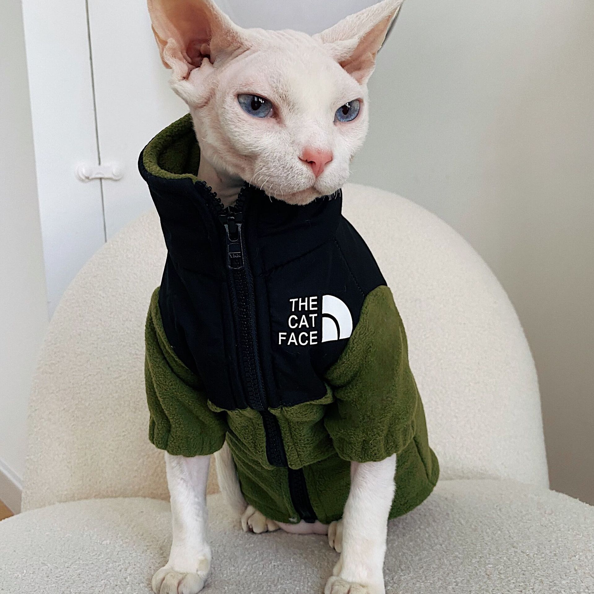 KFX-7967805 Cozy Coral Fleece Cat Clothes in Army Green, Sapphire Blue, and Beige - Multiple Sizes Available