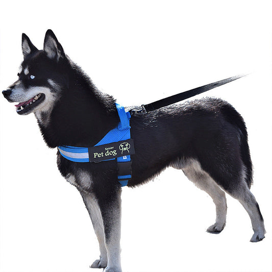 KFX-7972669 Durable Nylon Dog Leash and Chest Harness Set in Blue, Black, Red - Multiple Size Options Available