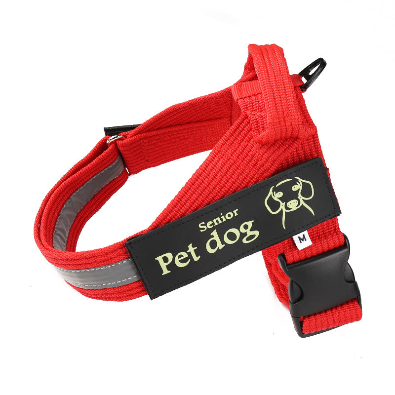 KFX-7972669 Durable Nylon Dog Leash and Chest Harness Set in Blue, Black, Red - Multiple Size Options Available
