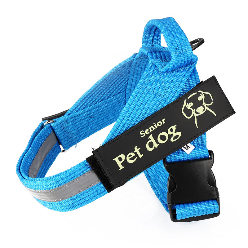 KFX-7972669 Durable Nylon Dog Leash and Chest Harness Set in Blue, Black, Red - Multiple Size Options Available