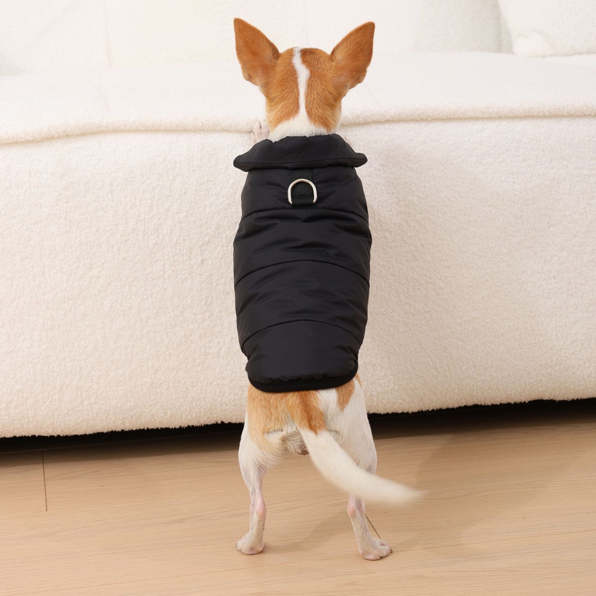 KFX-7973949 Stylish Traction Dog Coat in Black, Red, or Brown - Sizes XS to XL