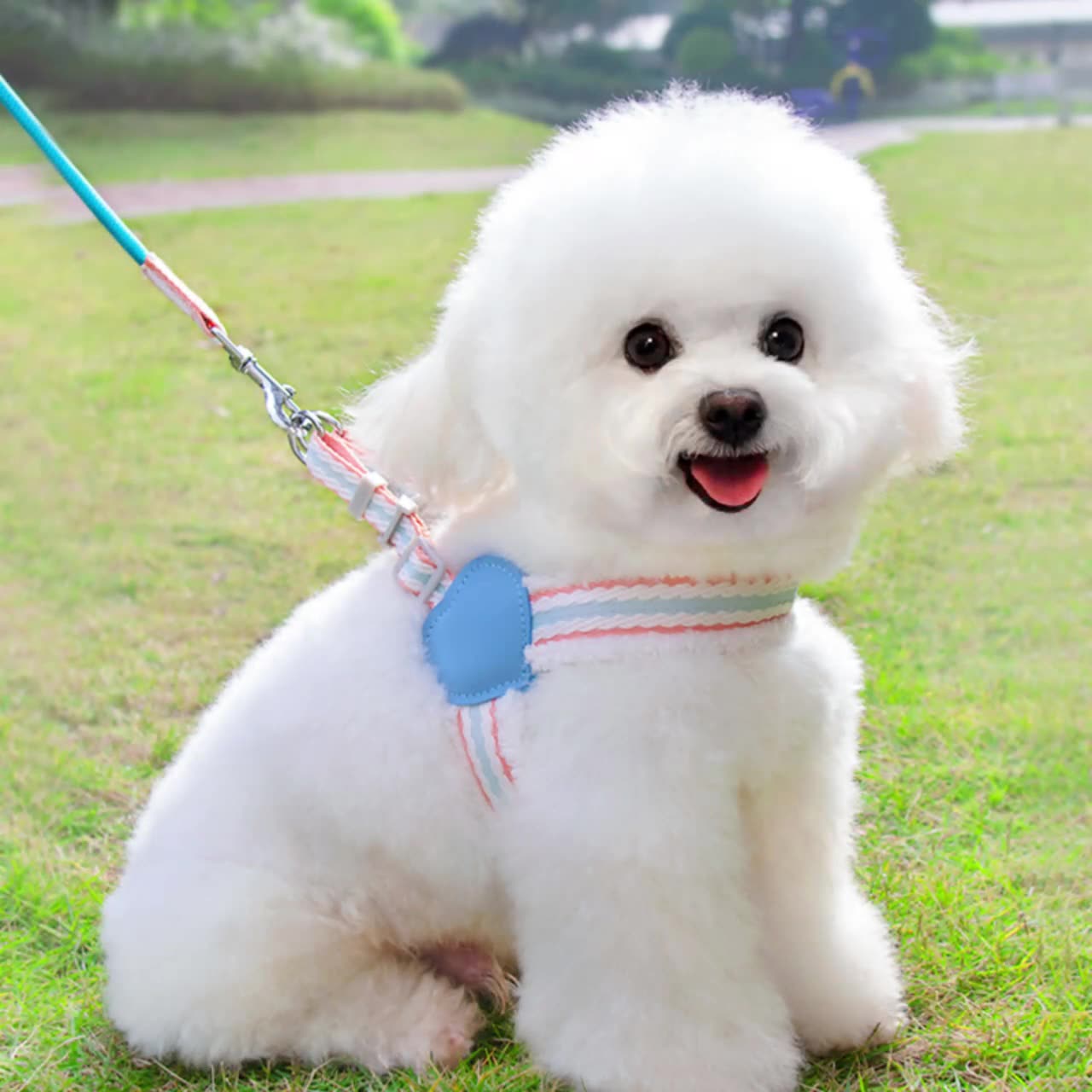 KFX-7980605 Summer Breathable Dog Chest Vest Leash for Small and Medium Dogs