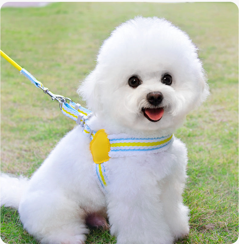 KFX-7980605 Summer Breathable Dog Chest Vest Leash for Small and Medium Dogs