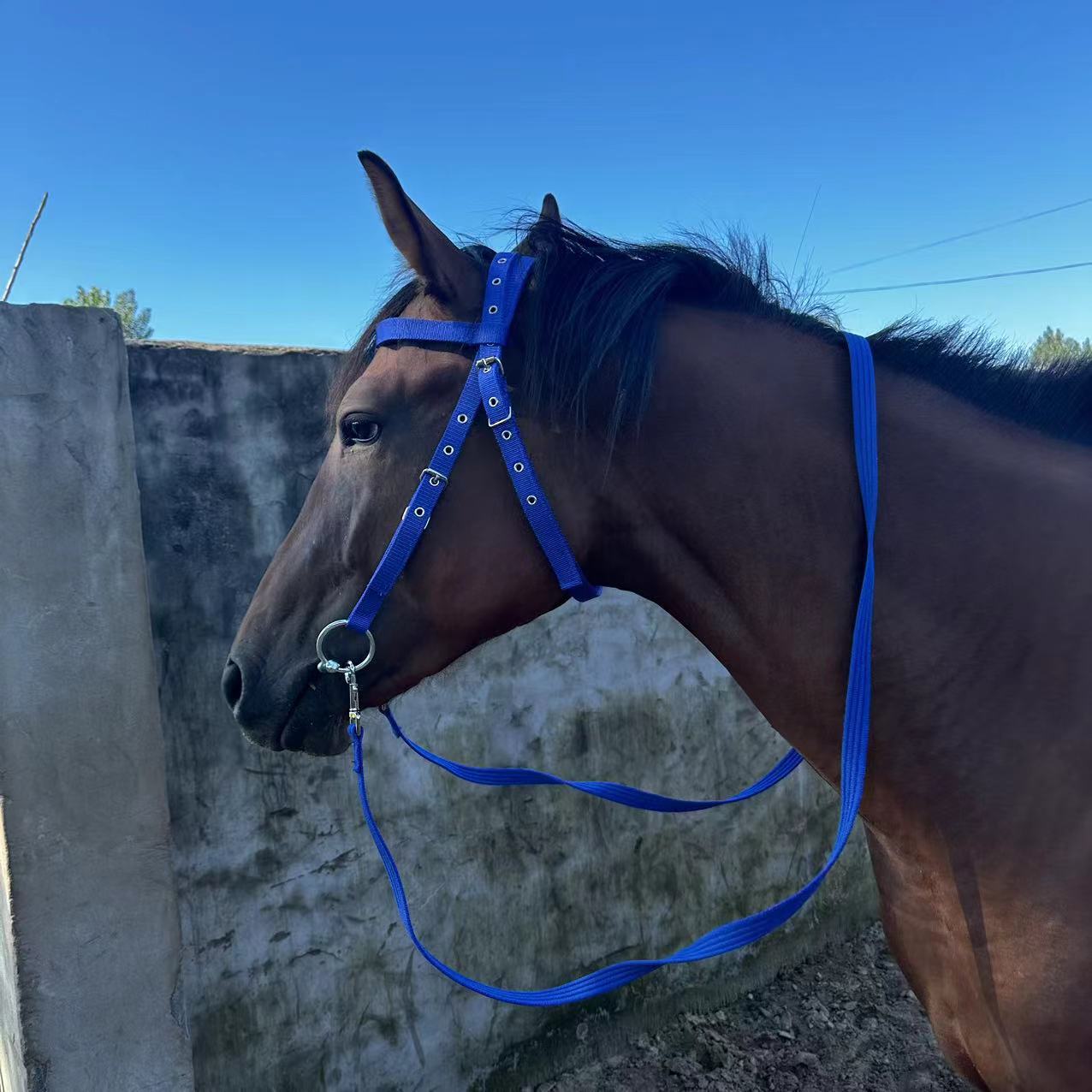 KFX-7987517 Adjustable Horse Halter with Rope - Available in Various Sizes and Colors
