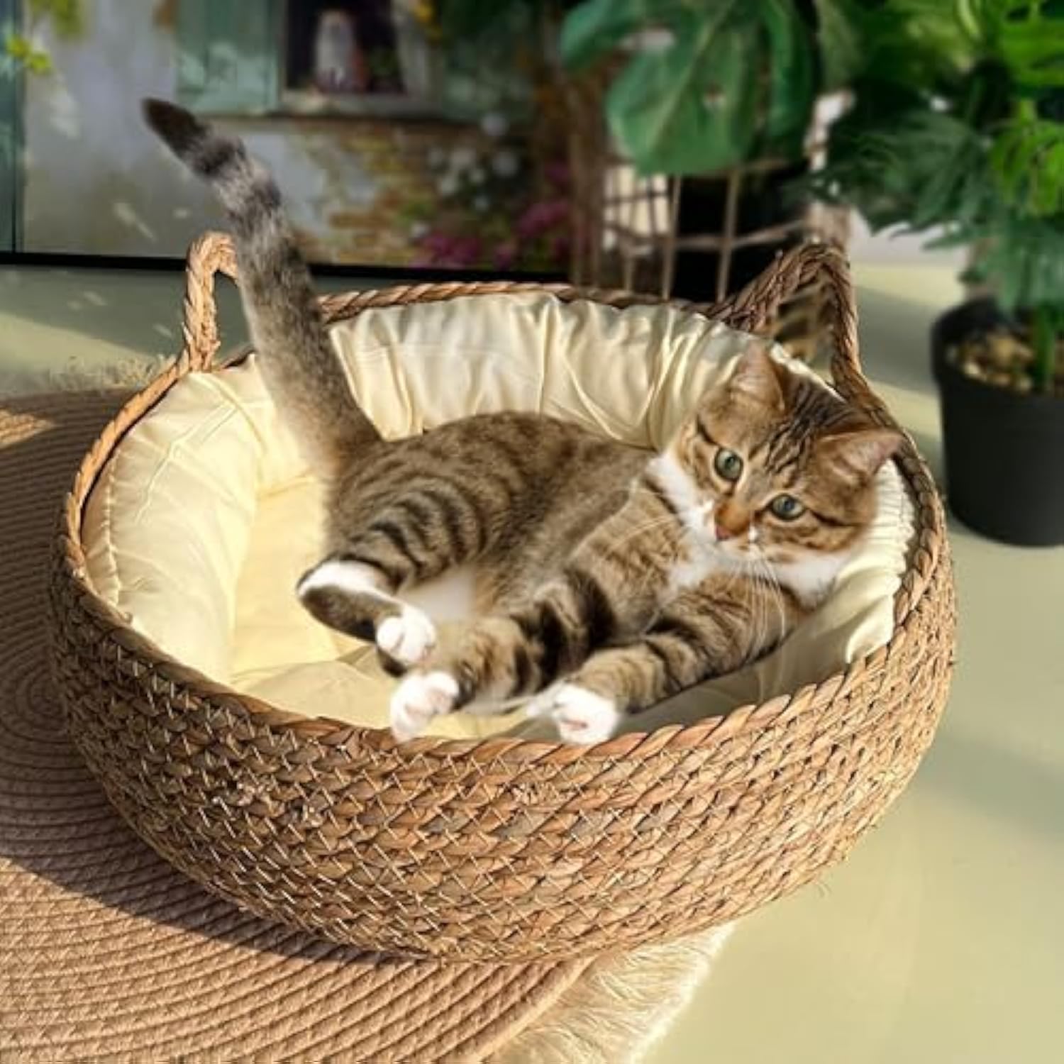 KFX-7992125 Natural Woven Cat Bed with Soft Cushion – Handmade Braided Cattail Leaf Pet House, Eco-Friendly Straw Nest