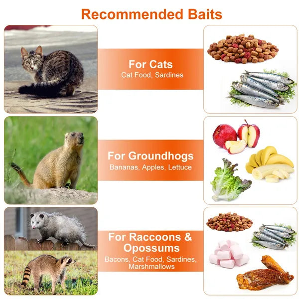 KFX-7994301 Humane Live Animal Trap for Small Wildlife – Collapsible Galvanized Wire Cage for Raccoons, Groundhogs, Armadillos, and More