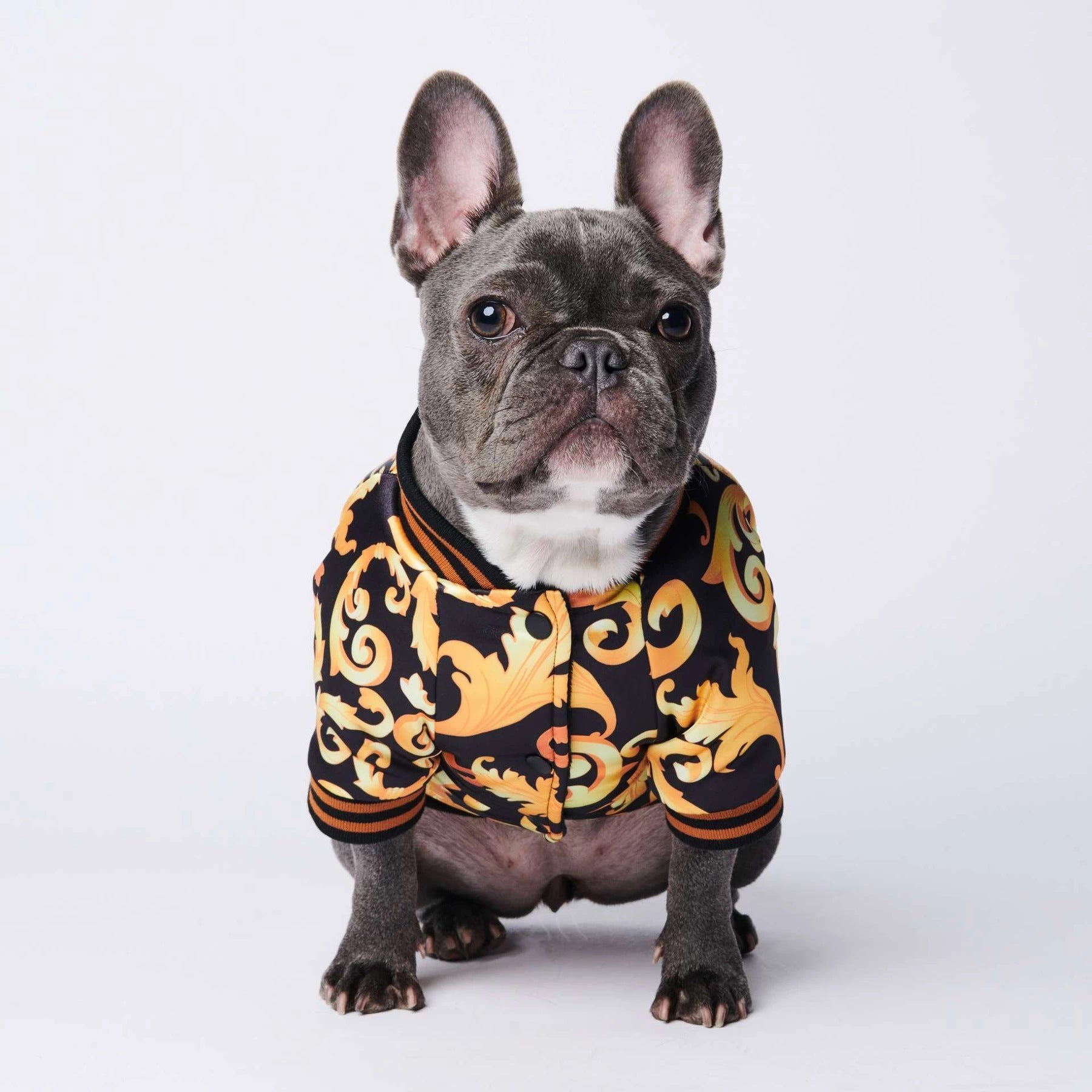 KFX-7994813 Cotton Dog Coat for Small to XXXL Sizes, Adjustable Neck and Bust Measurements