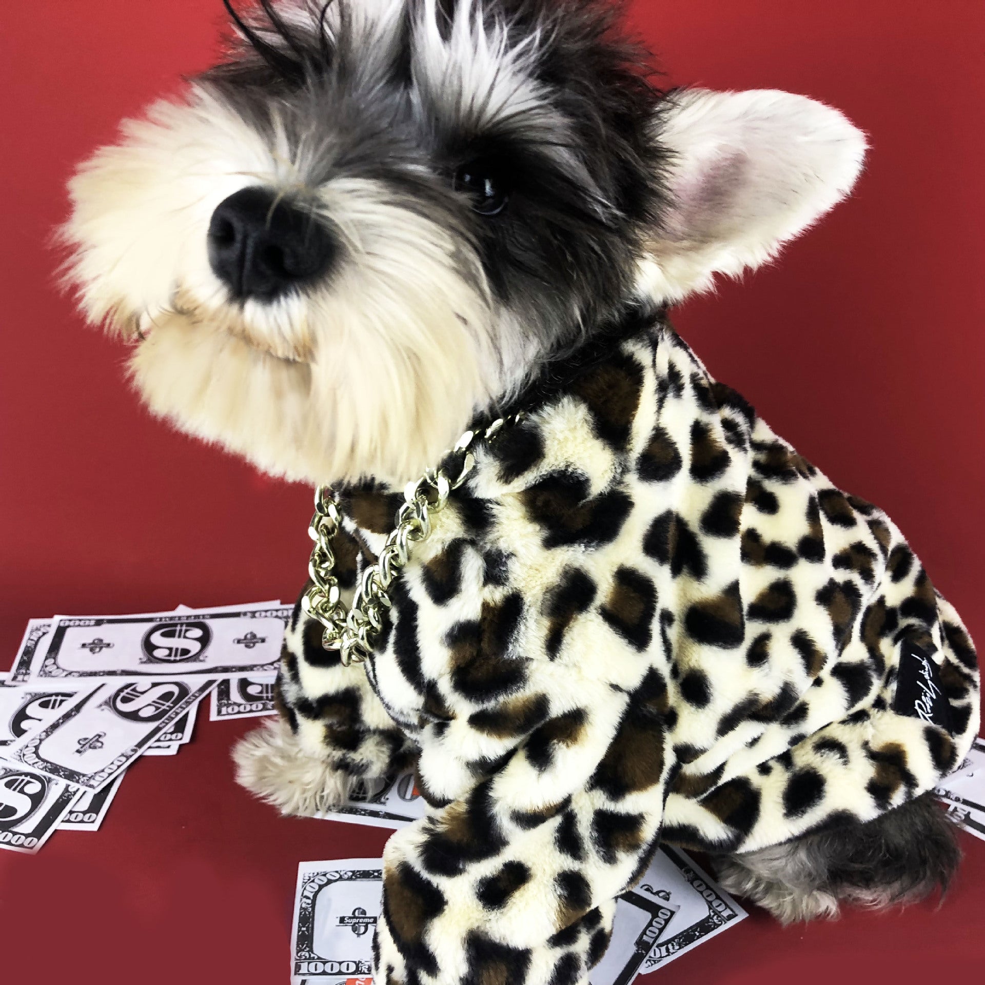 KFX-7996989 Leopard Print Dog Jacket for Spring and Autumn – Thick Polyester Coat for Small Breeds