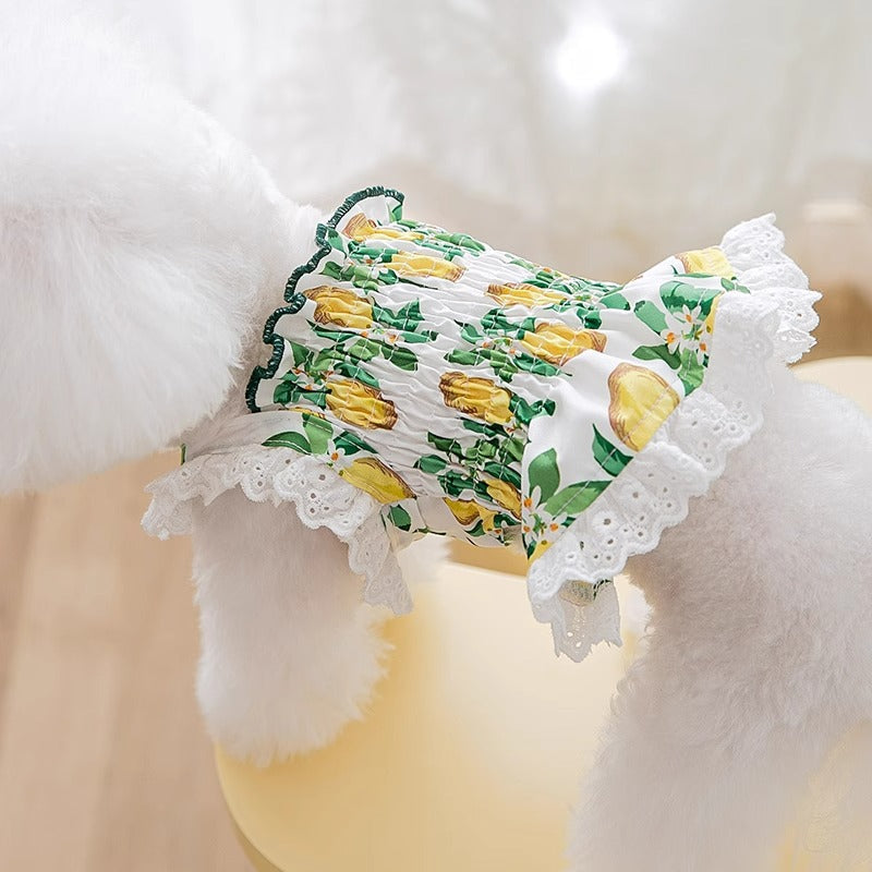 KFX-7998013 Thin Breathable Dog Dress with Strap in Rock Yellow Lemon, Sizes XS to XXL