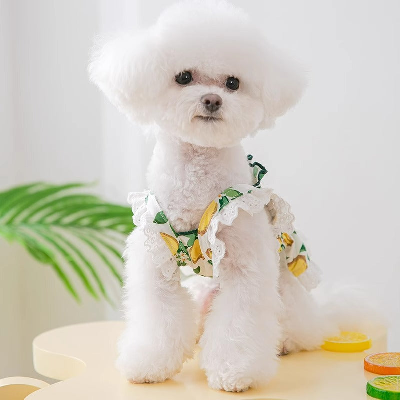 KFX-7998013 Thin Breathable Dog Dress with Strap in Rock Yellow Lemon, Sizes XS to XXL