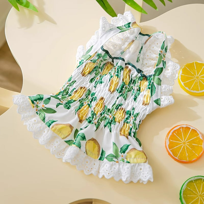 KFX-7998013 Thin Breathable Dog Dress with Strap in Rock Yellow Lemon, Sizes XS to XXL