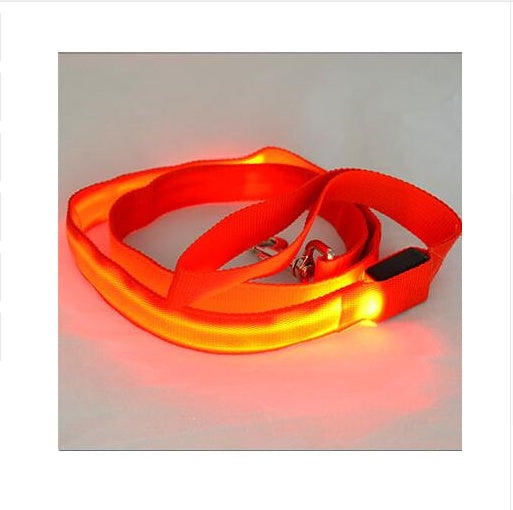 KFX-8000189 LED Dog Leash with Illuminating Nylon Strap and Replaceable Battery, Waterproof and Adjustable Brightness Options, Perfect for Night Walks