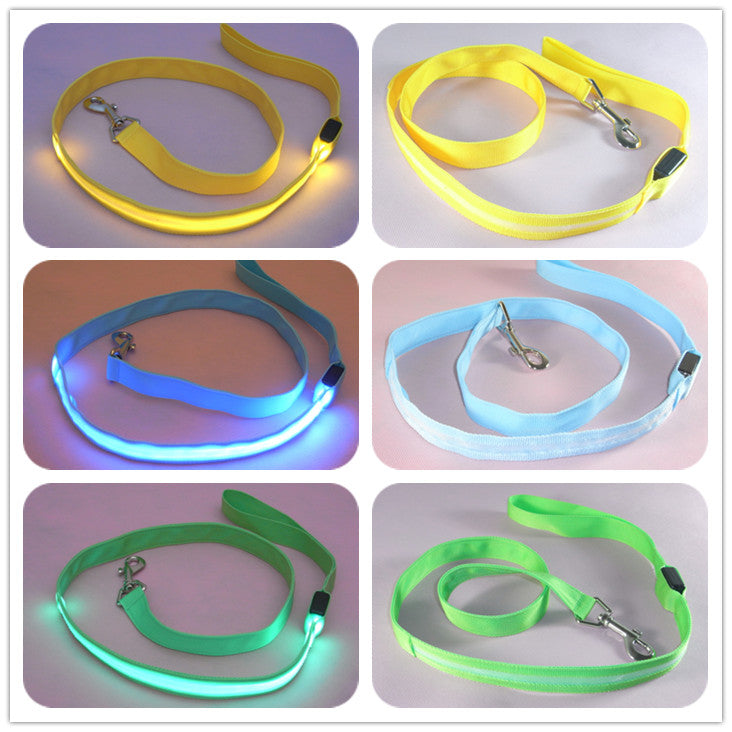 KFX-8000189 LED Dog Leash with Illuminating Nylon Strap and Replaceable Battery, Waterproof and Adjustable Brightness Options, Perfect for Night Walks