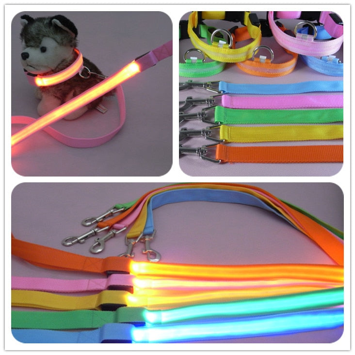 KFX-8000189 LED Dog Leash with Illuminating Nylon Strap and Replaceable Battery, Waterproof and Adjustable Brightness Options, Perfect for Night Walks