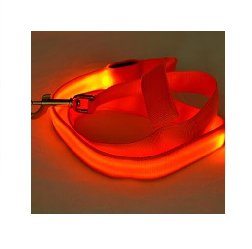 KFX-8000189 LED Dog Leash with Illuminating Nylon Strap and Replaceable Battery, Waterproof and Adjustable Brightness Options, Perfect for Night Walks