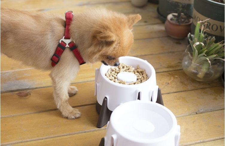 KFX-8002365 Adjustable Wet and Dry Pet Bowl - 8x9x13CM, 389G, Made of Durable Plastic