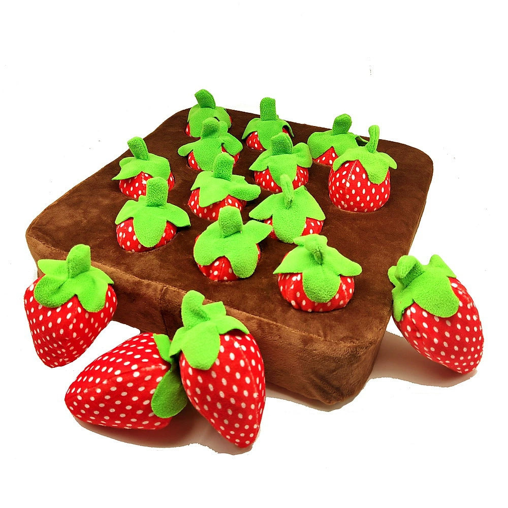 KFX-8009405 Pet-Friendly Plush Fruits and Vegetables Toy Set - Includes Carrots and Strawberries