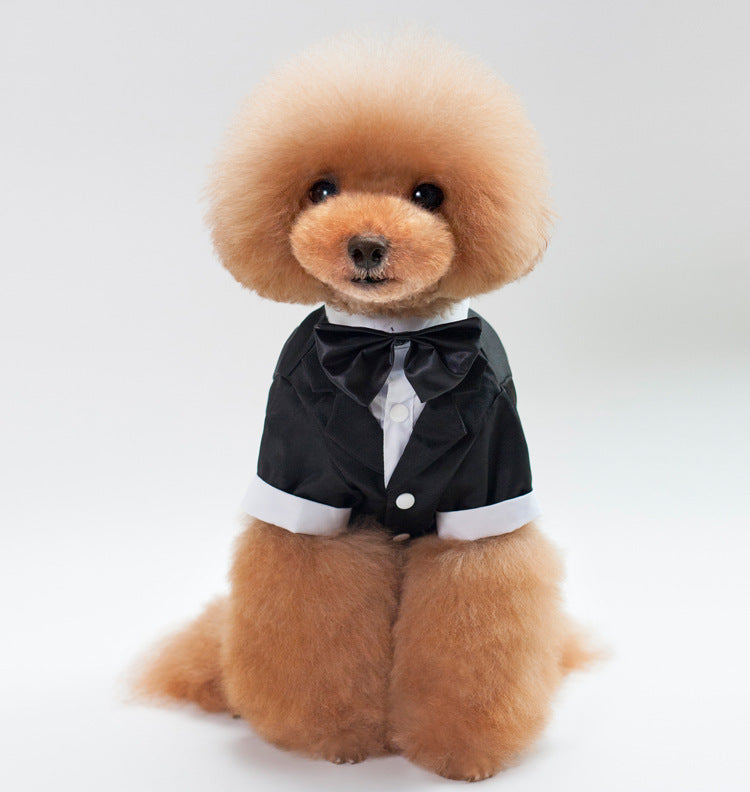 KFX-8010301 Stylish Cotton Wedding Suit for Male Pets - Available in Various Sizes S-XXL