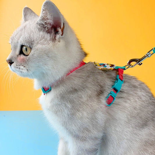KFX-8011709 Adjustable Cat Traction Rope for Small Dogs – Divine Beast Racer Back Design