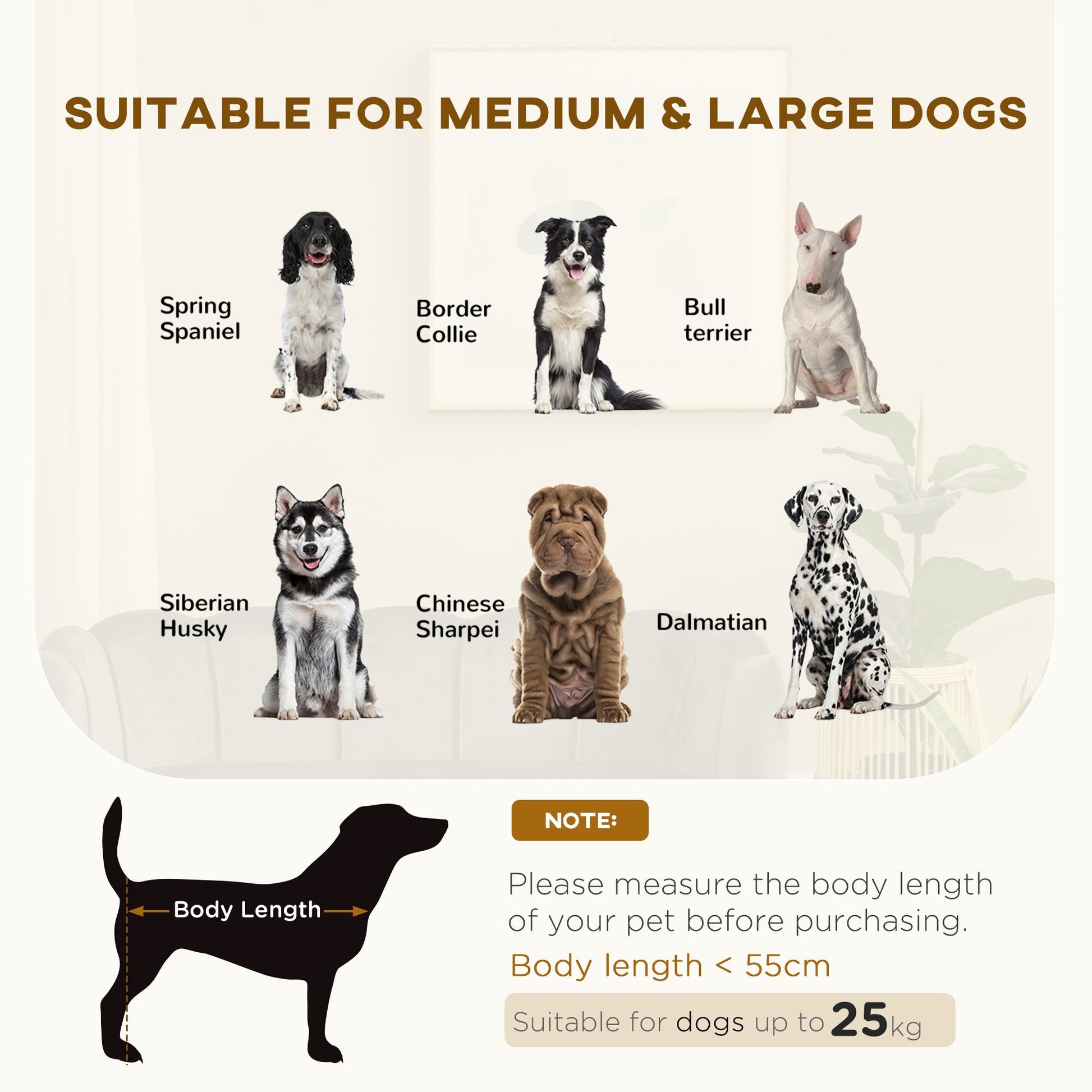 KFX-8016317 Charcoal Gray Velvet Pet Sofa for Medium to Large Dogs with Cushion and Birch Wood Legs