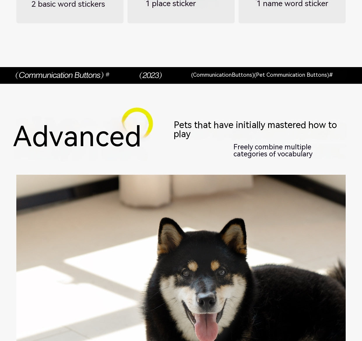 KFX-8018493 Miniature Recording Button for Dog and Cat Training - Voice-Activated Talking Device