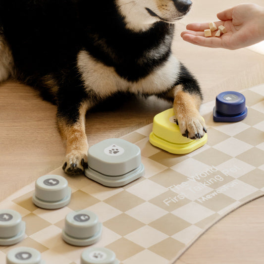 KFX-8018493 Miniature Recording Button for Dog and Cat Training - Voice-Activated Talking Device