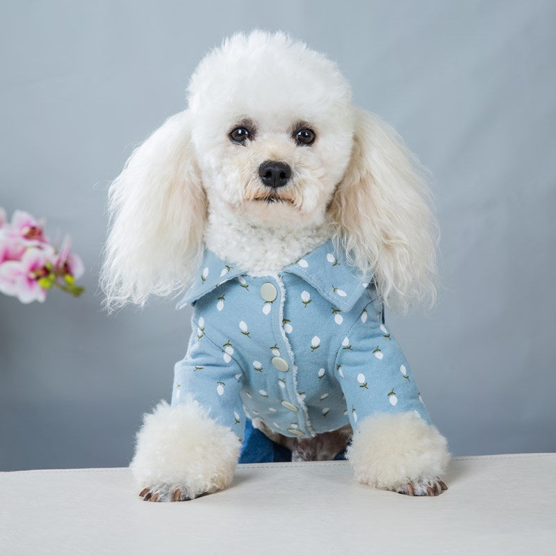 KFX-8022077 Handsome British Dog Winter Padded Clothes with Half Skirt Style in Gray and Light Blue