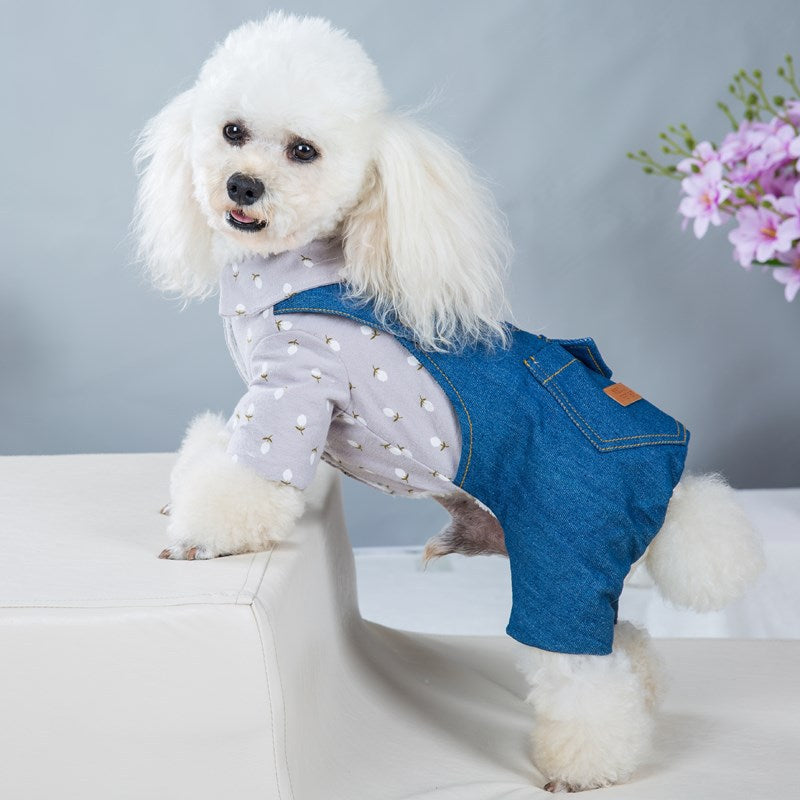KFX-8022077 Handsome British Dog Winter Padded Clothes with Half Skirt Style in Gray and Light Blue