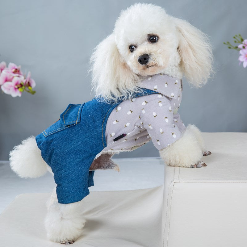 KFX-8022077 Handsome British Dog Winter Padded Clothes with Half Skirt Style in Gray and Light Blue